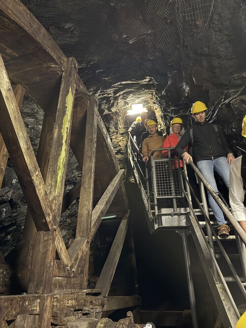 Mitarbeitende auf einer Treppe neben einem Kunstrad